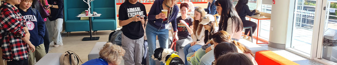 a picture of students at a dog cafe