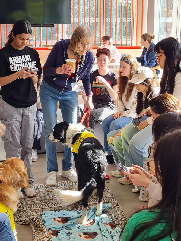 a picture of students at a dog cafe